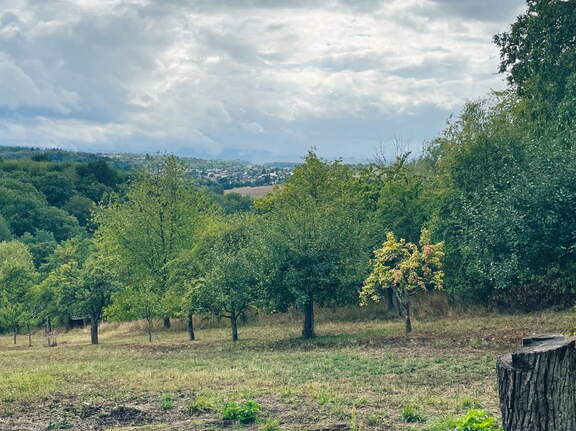 22-09-10 17-12-12 1950